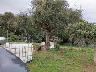 Casa rural en venta en Barrios (Los)