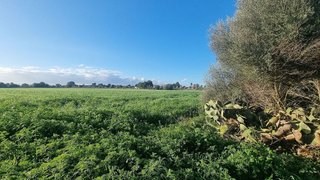 Terreno en venta en Campos