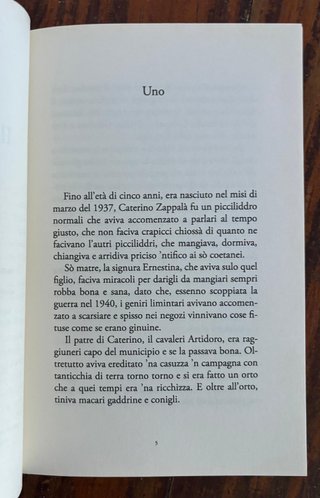 il palato assoluto romanzo