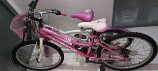 2 Bicicletas para Niña