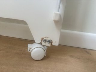 Cuna de bebé blanca con osito