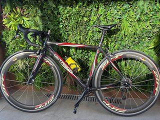 Bicicleta Carbono Talla S