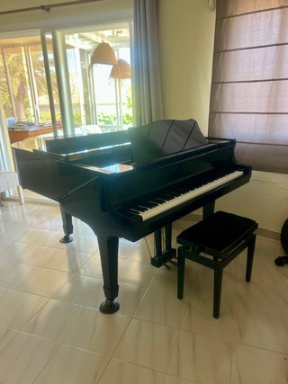 Piano de Cola Young Chang Negro