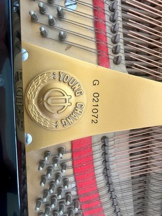 Piano de Cola Young Chang Negro