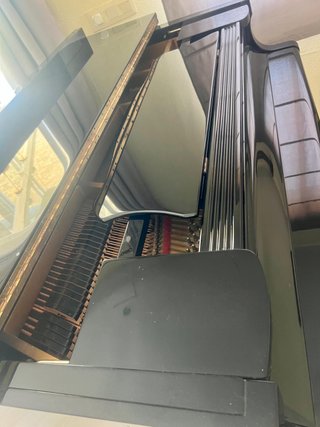 Piano de Cola Young Chang Negro