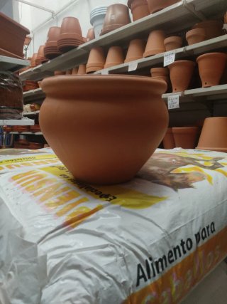 Maceta terracota pequeña