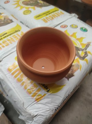 Maceta terracota pequeña