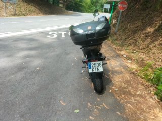Zontes X310 2019 Negra/Gris