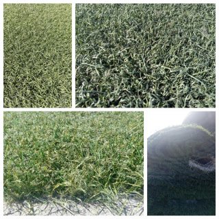 Venta césped artificial