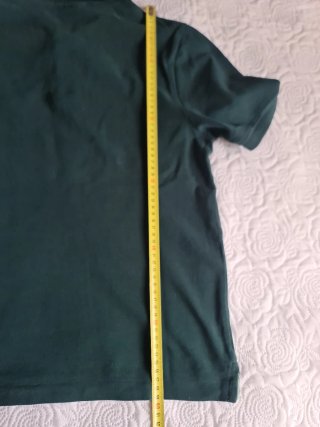 Polo Springfield Verde Talla XS