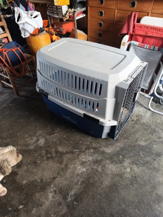 Jaula de Transporte para Perro Grande