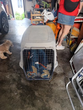 Jaula de Transporte para Perro Grande