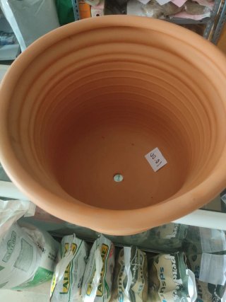 Maceta campana terracota naranja