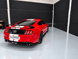 Ford Mustang 2.3Ecoboost 2019 314cv