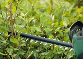 Cortasetos a batería Bosch UniversalHedgeCut18V-50