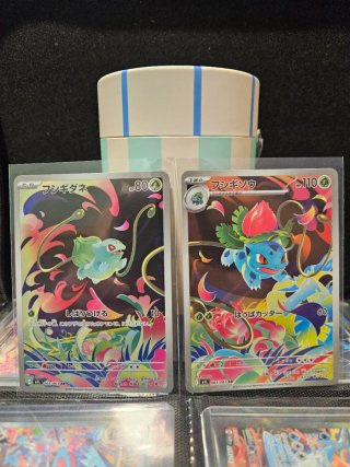2 Cartas Pokémon Bulbasaur e Ivysaur