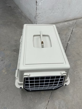 Transportín para Gatos