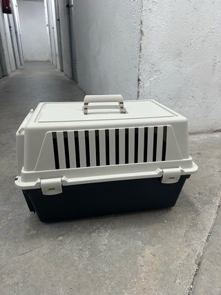 Transportín para Gatos