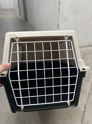 Transportín para Gatos
