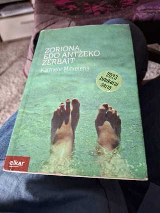 Zoriona, edo antzeko zerbait