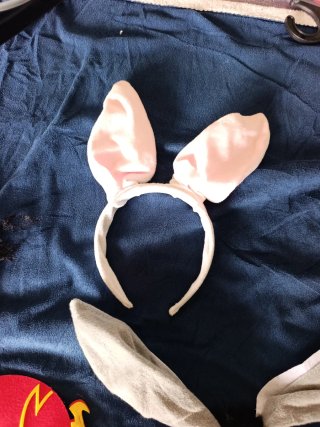 Accesorios de disfraces: Diademas