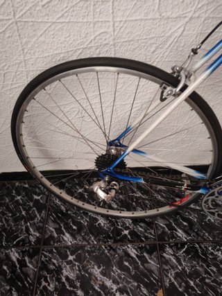 Gios Torino (Única)