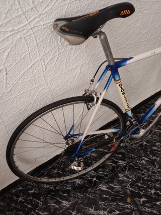 Gios Torino (Única)