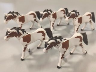 Playmobil 5 Caballos Pintos