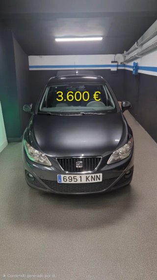 SEAT Ibiza 2010