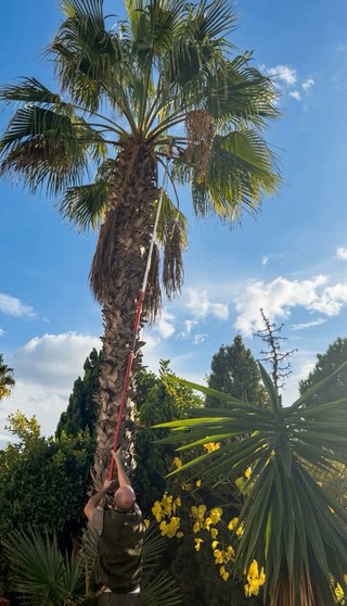 Jardinero Benalmádena y alrededores
