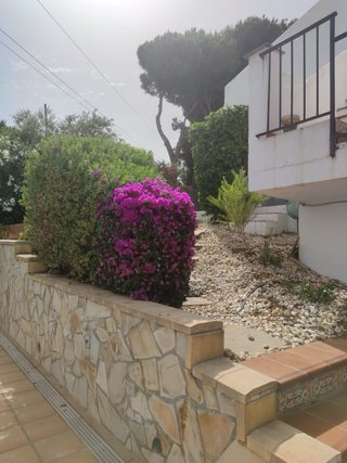 Jardinero Benalmádena y alrededores