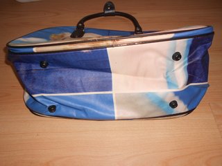 BOLSA de VIAJE 2 CACHORROS / BOLSO de MANO PERROS