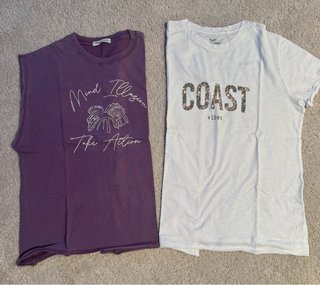 Conjunto 2 camisetas manga corta