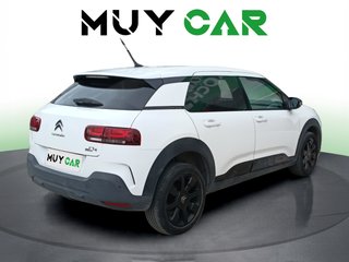 Citroen C4 Cactus PureTech 110 S&S Origins 81 kW (110 CV)