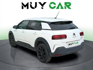 Citroen C4 Cactus PureTech 110 S&S Origins 81 kW (110 CV)