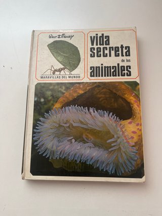 Libro Vida secreta de los animales
