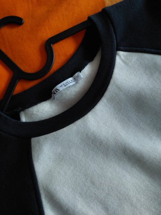 Sudadera Zara con bordado