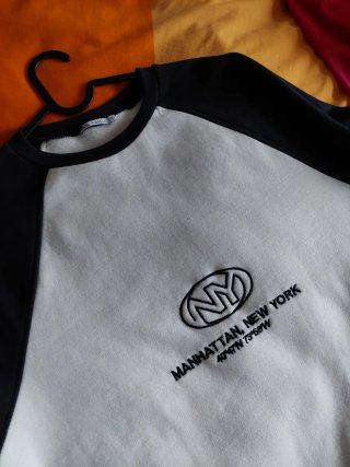 Sudadera Zara con bordado