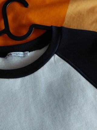 Sudadera Zara con bordado