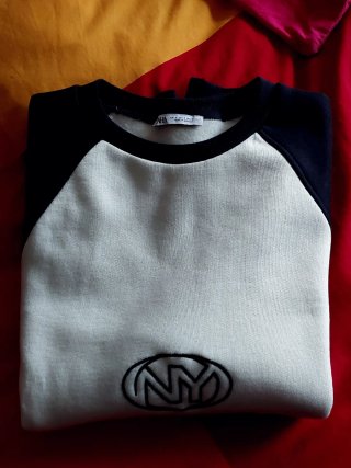 Sudadera Zara con bordado
