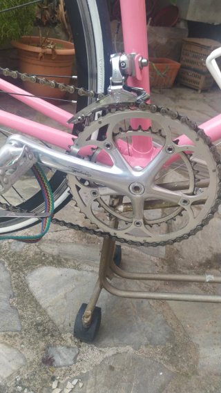 Bicicleta Moser Campagnolo neoretro .