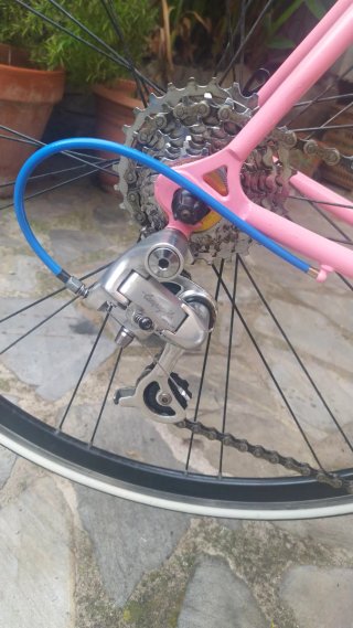 Bicicleta Moser Campagnolo neoretro .