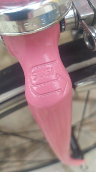 Bicicleta Moser Campagnolo neoretro .