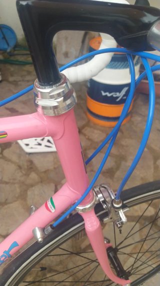 Bicicleta Moser Campagnolo neoretro .