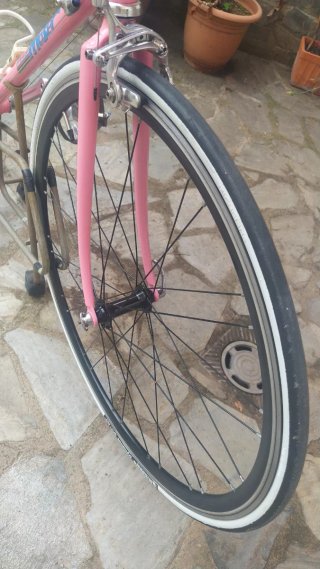 Bicicleta Moser Campagnolo neoretro .