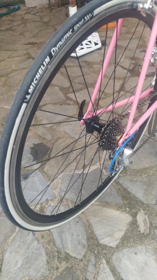 Bicicleta Moser Campagnolo neoretro .
