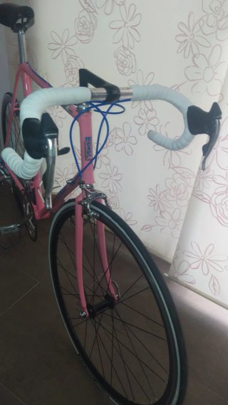 Bicicleta Moser Campagnolo neoretro .