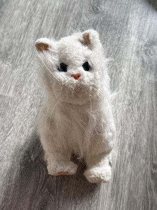 Gatito Andador de Juguete