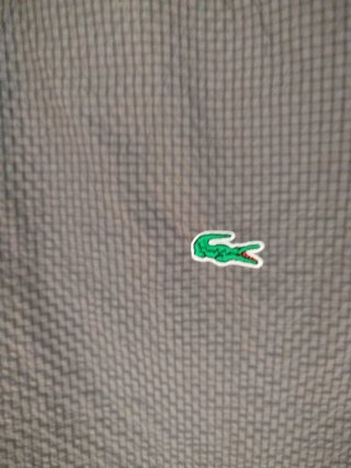 Conjunto Lacoste
