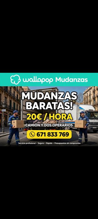 Servicio de Mudanzas Profesional